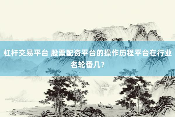 杠杆交易平台 股票配资平台的操作历程平台在行业名轮番几？